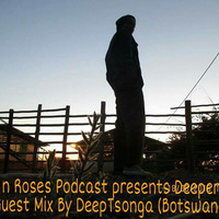 Guns n Roses Podcast presents Deeper Cuts #10 Guest Mix By DeepTsonga by GnRSA