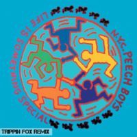 N.Y.C. Peech Boys - Life Is Something Special (Trippin Fox remix) by Trippin Fox