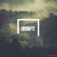 NEEDLES MUSIK - Promo Jan. 2016 by NEEDLES MUSIK