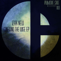 Izak New - Confound the wise - PSR03 by Primitive State Records