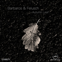 UVM071 - Barbaros &amp; Felusch - Autumn Leaf