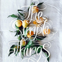 NV.pres.The Simple Things by Nicolas Vegas