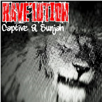 Captive - Lost In The Jungle by Homegrown Records
