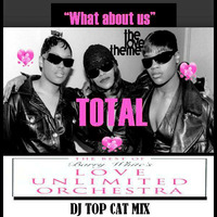 Total feat Missy &amp; The Love Unlimited Orchestra  - What About us - DJ Top Cat Mix by Dee Jay Tee Cee 