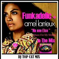 Amel larrieux & Funkadelic - No One Else  ( 1970  Funk up  Remix )  DJ Top Cat Mash upRemix by Dee Jay Tee Cee 