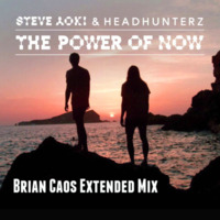 Steve Aoki &amp; Headhunterz - The Power Of Now (Brian Caos Extended Mix) by Brian Caos
