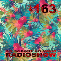 ESIW163 Radioshow Mixed by Ken Doop by Es schallt im Wald
