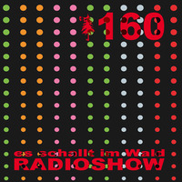 ESIW160 Radioshow Mixed by Cult Jam by Es schallt im Wald
