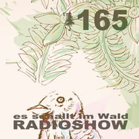 ESIW165 Radioshow Mixed by Cult Jam by Es schallt im Wald
