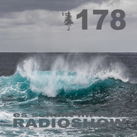 ESIW178 Radioshow Mixed by Ken Doop.mp3 by Es schallt im Wald