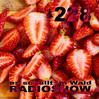 ESIW228 Radioshow Mixed by Ken Doop by Es schallt im Wald