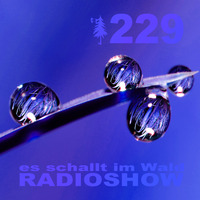 ESIW229 Radioshow Mixed by Cult Jam by Es schallt im Wald