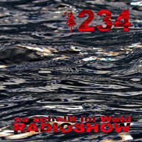 ESIW234 Radioshow Mixed by Cult Jam by Es schallt im Wald