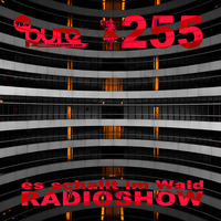 ESIW255 Radioshow Mixed by Tonomat by Es schallt im Wald