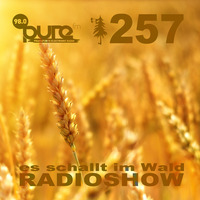 ESIW257 Radioshow Mixed by Cult Jam by Es schallt im Wald