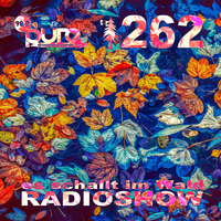 ESIW262 Radioshow Mixed by Double C by Es schallt im Wald