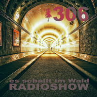 ESIW306 Radioshow Mixed by Tonomat by Es schallt im Wald