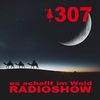 ESIW307 Radioshow Mixed by Double C by Es schallt im Wald