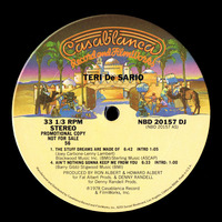 The Stuff Dreams Are Made Of (12&quot; Extended Version) |Teri DeSario by musiqueman65 collection