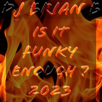 DJ Brian B - Is It Funky Enough 2023 by DeeJayBrianB