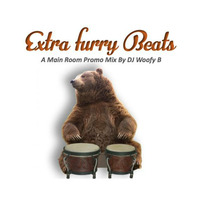Extra Furry Beats by DJ Woofy B