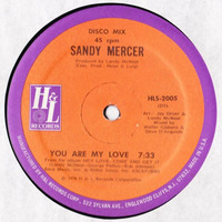 YOU ARE MY LOVE-SANDY MERCER-(CHAP Muzic Dj Peter Hayes Edit) by CHAP Muzic Dj Peter Hayes