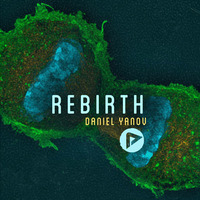 Daniel Yanov | Rebirth | Aero018