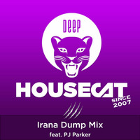 Deep House Cat Show - Irana Dump Mix - feat. PJ Parker by Deep House Cat Show