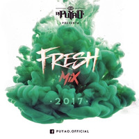 DJ Puyao - Fresh Mix 2017 by DJ Puyao