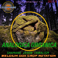 Cellophane Moka :  ANALOGICA ORGANICA by Grenzpunkt Null Sound