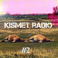 Grenzpunkt Null-Kismet Radio #2 Tunes From The Electric Mist by Grenzpunkt Null Sound