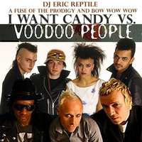 Dj Eric Reptile - Voodo Candy Charisma mp3 by Dj Reptile (Eric John Beck)
