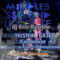 DjReptile-MSI-OPR         Mindless Self Indulgance /Gesaffelstein live  FUSED REMIX mp3 by Dj Reptile (Eric John Beck)