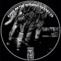 Sintek - Night Of The Shapes (Original Mix) [Shout] by Sintek
