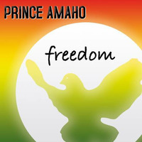 Prince Amaho - Freedom (Tomtrax Remix Preview) by Tomtrax