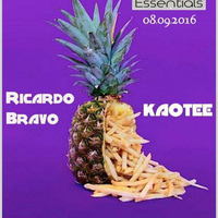 Berlin Essentials 08.09.2016 - Ricardo Bravo by STROM:KRAFT Radio