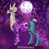 Disco Llama by Steve