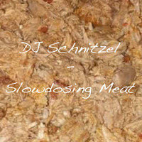 DJ Schnitzel - Slowdosing Meat (Poland 2020) by Fear Of Color / Daniel Wilhelm / DJ Schnitzel