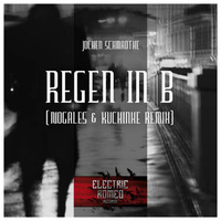 Jochen Schmadtke - Regen in B ( Nogales &amp; Kuchinke Radio Rmx) by Bernd Kuchinke