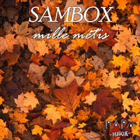 SAMBOX - Fleur De Nuit by SAMBOX