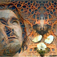 Elusive - A Young Man On Acid by Maitreya Sathya (Elusive)