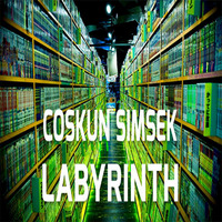 COSKUN SiMSEK | LABYRINTH
