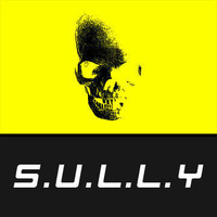 Sully - Revolution (Wavepuntcher Remix) by Wavepuntcher