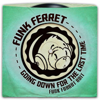 Going Down For The Last Time - Funk Ferret Edit by Funk Ferret