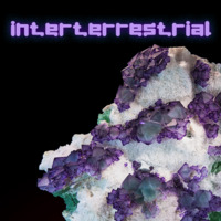Interterrestrial by PineäppleHäsh