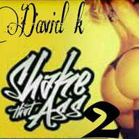 Shake That Ass 2 by DJDavid_K