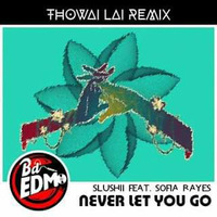 Slushii - Never Let You Go (feat. Sofia Reyes) (Thowai Lai Remix) by Thowai Lai