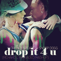 Drop it 4 U by Richard L