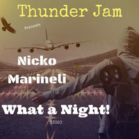 Nicko Marineli - What a Night! EP by Thunder Jam Records