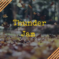 Amir Pery - Living On Disco EP by Thunder Jam Records